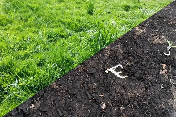 Artificial Turf Removal and Disposal in Stafford, TX