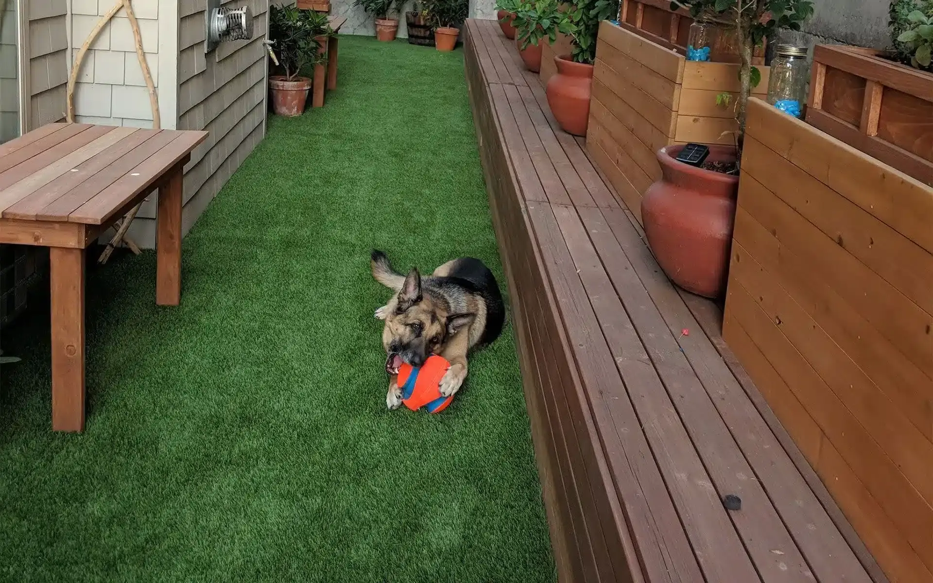 Pet-Friendly Artificial Turf Installation in Stafford